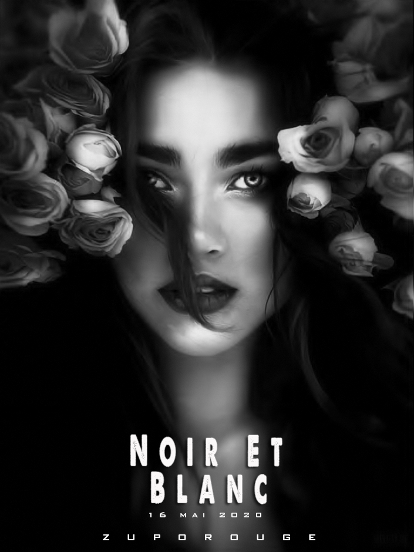 Noir et Blanc