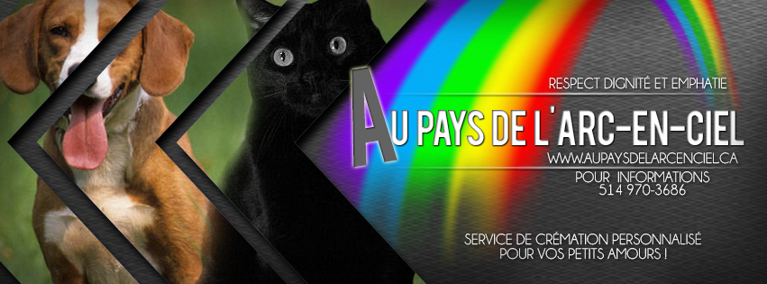 Banner Publicité