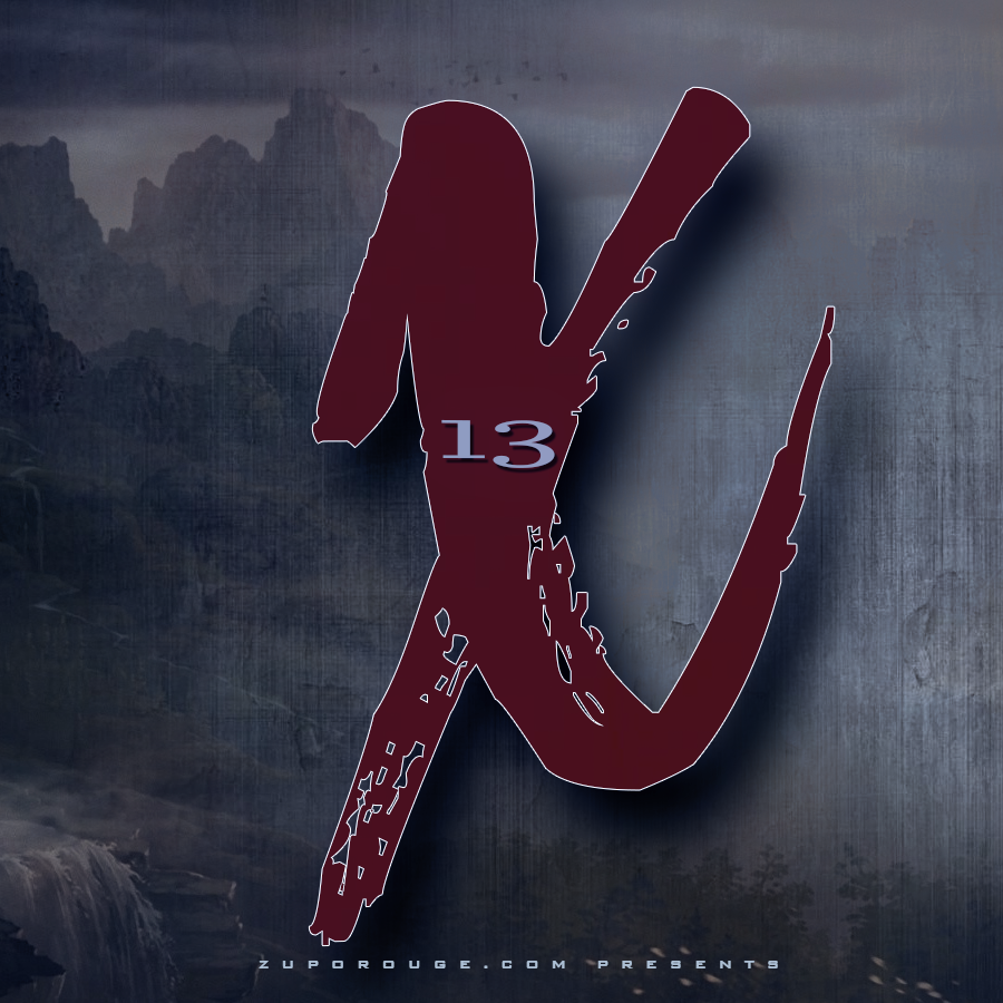 X13